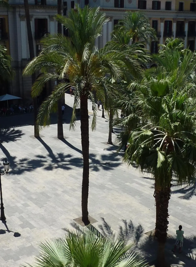 Hotel Roma Reial